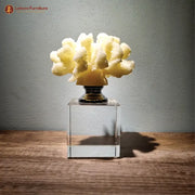 Decorative Artistic Coral