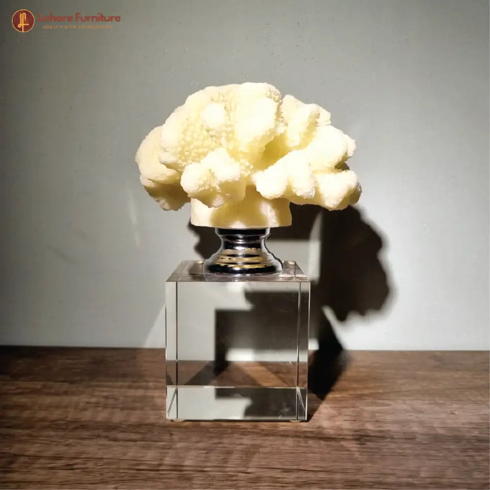 Decorative Artistic Coral