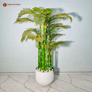 Stick Bamboo Plant for Indoor & Outdoor