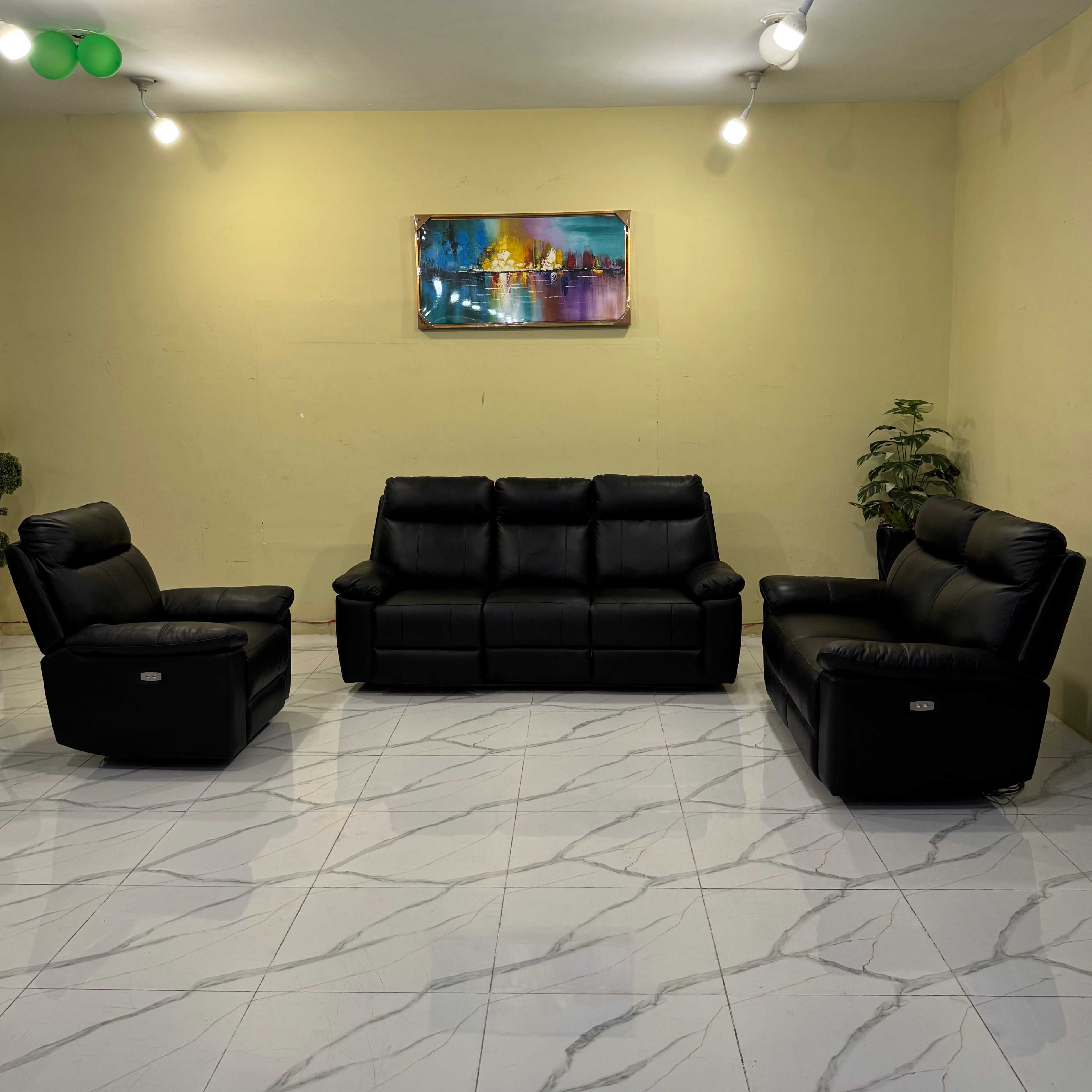 Recliner Sofa with Genuine Leather and German Motors