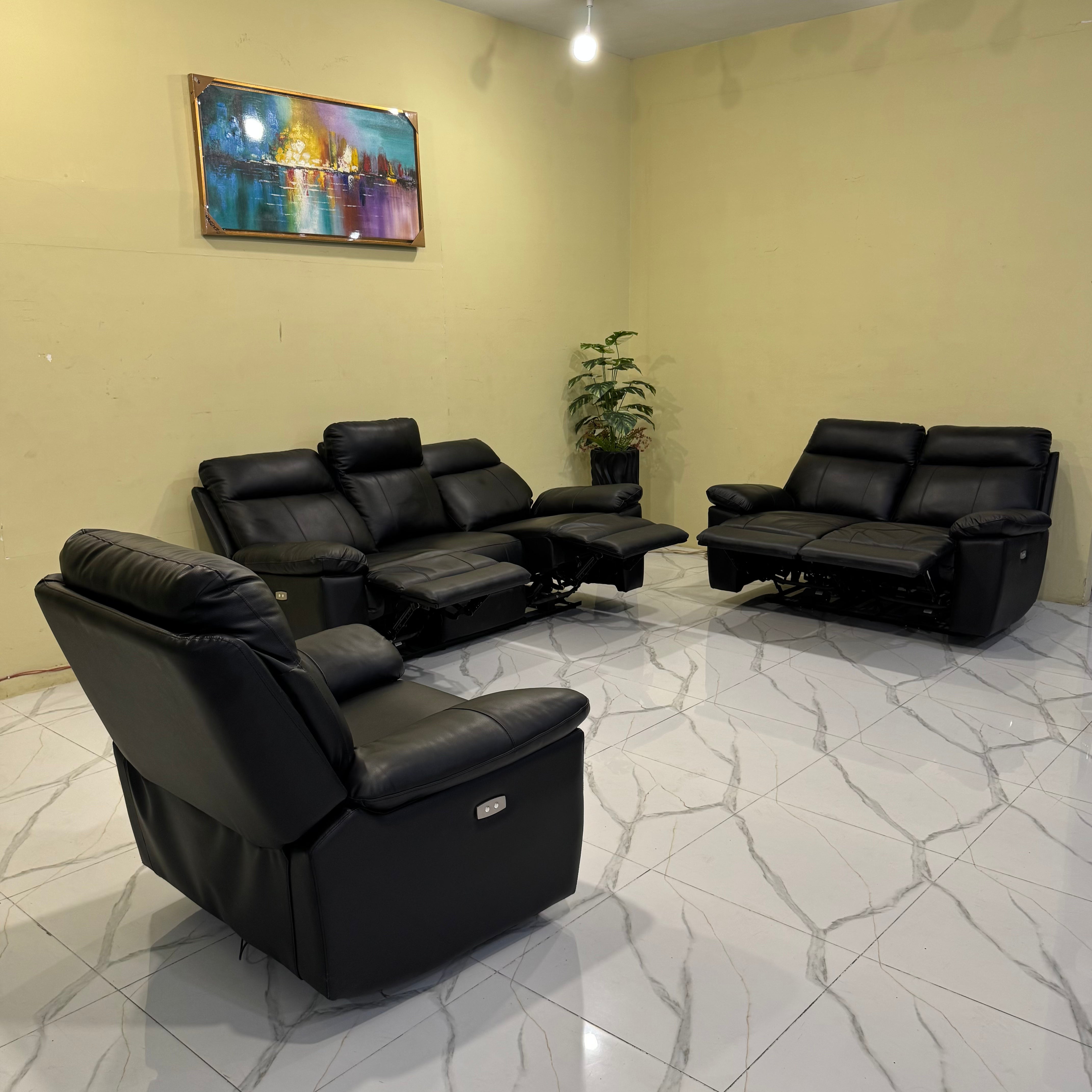 Recliner Sofa with Genuine Leather and German Motors