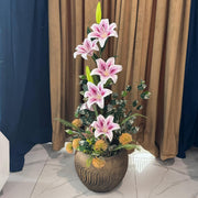 Lily Plant