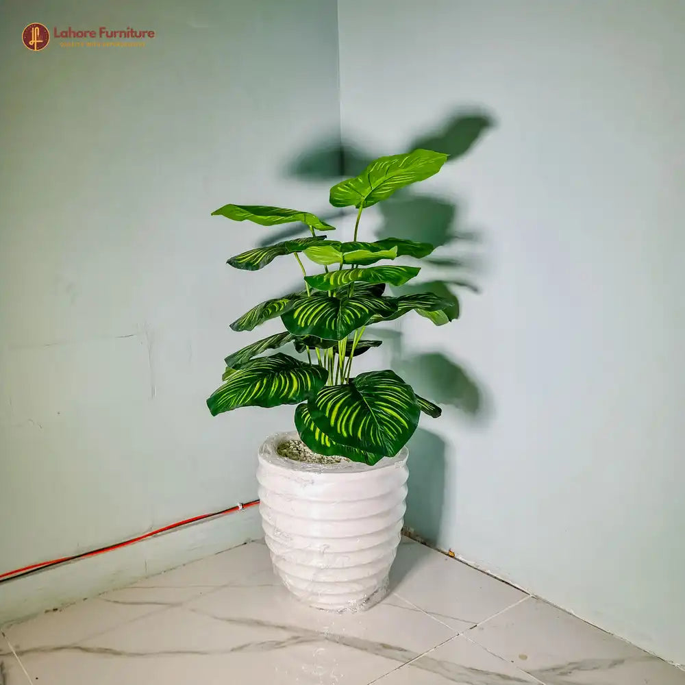 18 Leaf Plant with Ring Pot